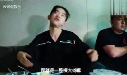 敏姐爆料粤语视频完整版,事件始末及幕后真相