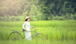 芒种视频爆料,揭秘幕后故事与精彩瞬间