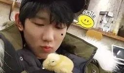 娱乐头条大爆料王源,揭秘明星背后的故事