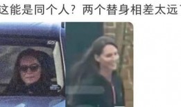 替身演员爆料视频播放全集,幕后的辛酸与真相