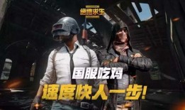 吃鸡国服最新消息 爆料,独家爆料揭示最新版本亮点与改动