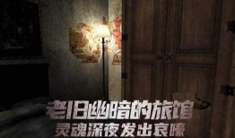 恐怖旅馆在线观看,惊悚之夜，揭秘神秘事件