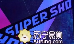 苏宁最新爆料,揭秘苏宁易购神秘新项目，引领行业变革！