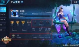 茶壶王者爆料视频大全,视频大全背后的精彩故事