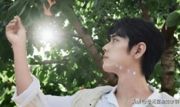 肖战刘亦菲最新爆料,合作新剧引期待，幕后故事揭秘