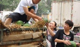 临泉吃瓜最新事件爆料进期,揭秘背后真相与争议