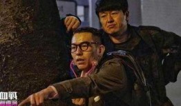 血战铜锣湾3在线观看,巅峰对决，热血再燃