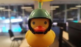 四只小黄鸭爆料视频大全,趣味瞬间尽收眼底