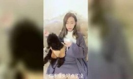 百合姐姐最新爆料,娱乐圈幕后真相大曝光！