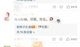 爆料男演员家暴视频,家庭暴力问题引发社会关注