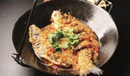 六菜最新爆料视频,精彩瞬间与幕后故事大公开