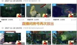 圈内人爆料张瀚视频播放,网络热议不断