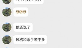 王者荣耀香香爆料视频大全,揭秘新英雄魅力与技能