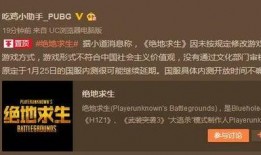 吃鸡国服最新消息 爆料,独家爆料揭示最新版本亮点与改动