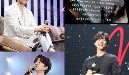 韩国爆料孔侑视频播放网站,揭秘韩国明星隐私泄露事件