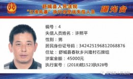 巡查员最新爆料新闻报道,揭露背后惊人真相！