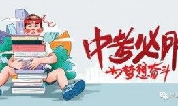 美国车队爆料视频最新消息,揭秘车队动态与幕后故事
