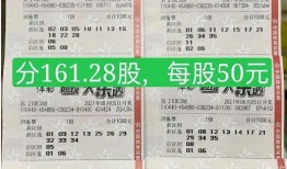 双色球大乐透爆料图表最新,揭秘中奖秘诀，助你一臂之力