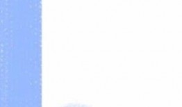 日料厨子爆料视频,独家制作秘籍大公开