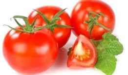 爆料西红柿的视频大全,趣味科普与美食分享