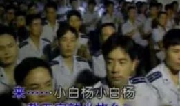 空镜子土豆网在线观看,高清土豆带你领略镜中世界
