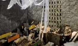 网红爆料塌方视频播放,视频播放引发网友热议