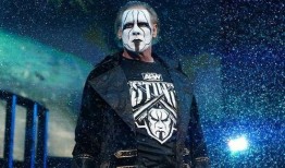 外媒爆料斯汀的视频大全,斯汀经典视频大全，重温摇滚传奇时刻