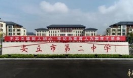 安丘最新爆料新闻视频播放,视频揭秘事件真相，引发社会关注