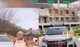 爆料徐老太套牌视频,揭秘真实身份与惊人真相