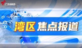 广东电台新闻爆料,揭秘某重大事件背后真相