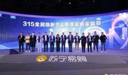 苏宁最新爆料,揭秘苏宁易购神秘新项目，引领行业变革！