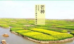 芒种视频爆料,揭秘幕后故事与精彩瞬间