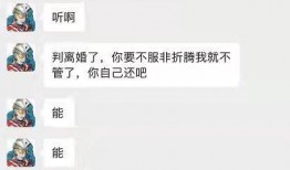 九南被爆料家暴视频,真相与反思