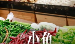 六菜最新爆料视频,精彩瞬间与幕后故事大公开