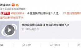 楚河爆料嗨氏骂人视频,楚河揭露网络暴力真相