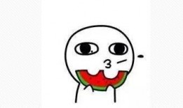 富婆吃瓜知乎免费阅读,揭秘网络红人的奢华生活与八卦传闻