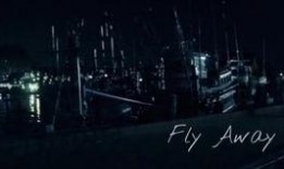 成都深夜爆料新闻视频,揭秘某事件背后真相