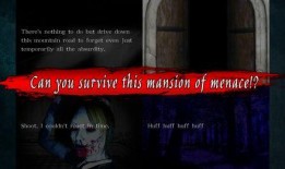 恐怖旅馆在线观看,惊悚之夜，揭秘神秘事件