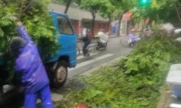 网红爆料塌方视频播放,视频播放引发网友热议