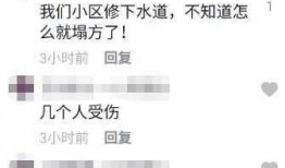 彭高最新爆料,揭秘行业黑幕，真相令人震惊！