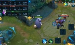 视频爆料王者英雄