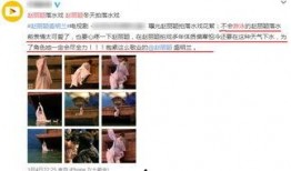 替身演员爆料视频播放全集,幕后的辛酸与真相