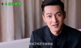 逍遥哥哥爆料视频大全集,揭秘娱乐圈幕后真相
