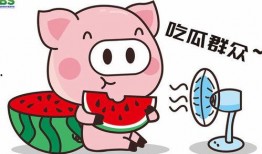 2022娱乐吃瓜动画,笑料百出，笑翻全网
